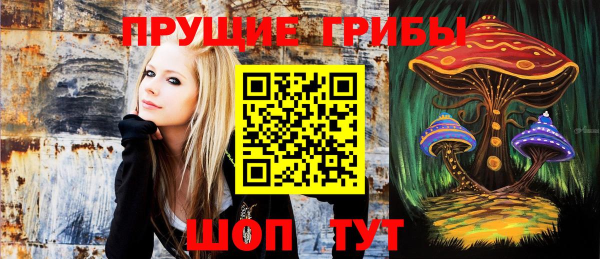 Галлюциногенные грибы GOLDEN TEACHER Усть-Джегута