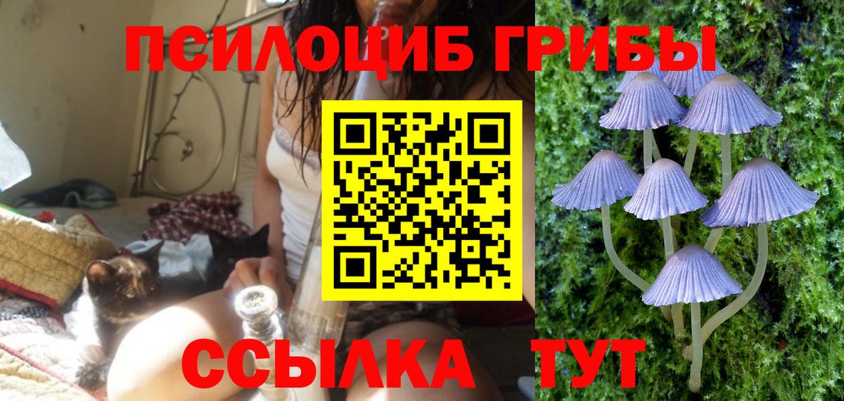 Псилоцибиновые грибы мухоморы  Вход с VPN  Усть-Джегута 