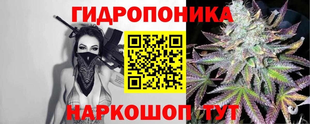 Бошки Шишки SATIVA & INDICA  Бошки Шишки AK-47  Вход с VPN  Усть-Джегута 